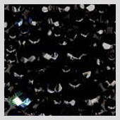 fire polished - mixes