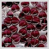 heart beads - mixes